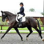 Equestrian mental coaching