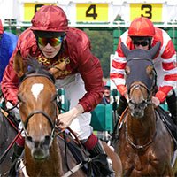 sports psychology for horse racing Sports Psychology for Jockeys